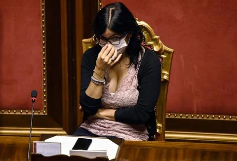 Discussion at the Senate on digital simplification and innovation decree, Rome,  Stock Photos
