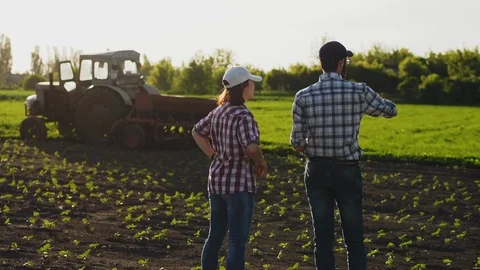 Discussion of two farmers in the field Stock Footage 112694028