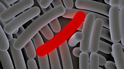 Disease causing bacteria Stock Footage 59848624