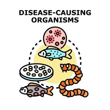 Disease causing organisms concept identifying parasites and microorganisms Stock Illustration