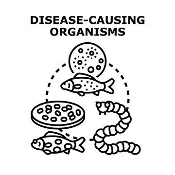 Disease causing organisms concept identifying parasites and microorganisms Stock Illustration