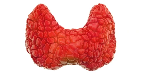 Disease spread on thyroid gland, 3d animation. 3D rendering isolated on white Stock Footage 100184161