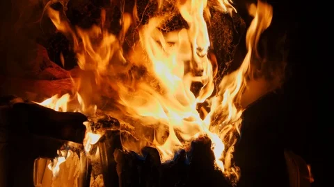 Diseased burning bee hive collapsing in flames to prevent foulbrood spread Stock Footage 99601485