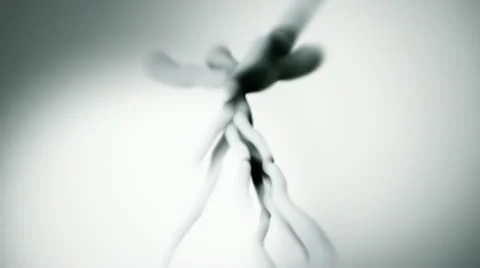 Diseases HD Video stock 11053839