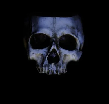 Disembodied skull Stock Photos
