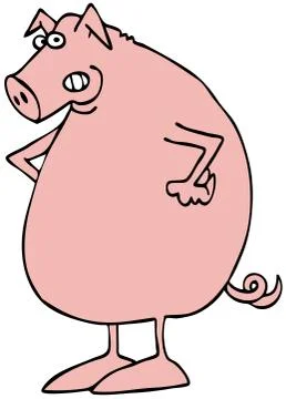Disgruntled pink pig Stock Illustration