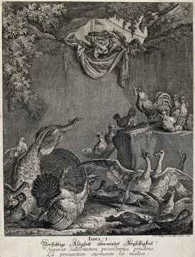 A disguised fox is peering through a vault into a yard, trying to beguile t.. Ilustración de archivo