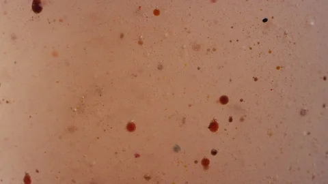 Disgusting swamp colored abstract liquid texture background Video stock 118298732