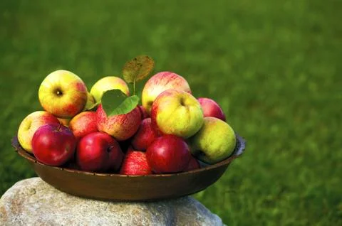 Dish with apples is on a stone Foto stock