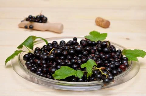 Dish with black currants on the table close-up Stock Photos