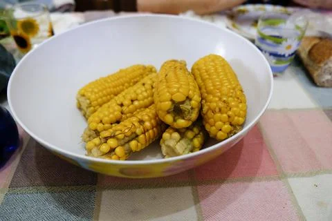 Dish of boiled corn cobs Stock Photos