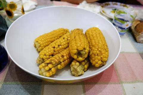 Dish of boiled corn cobs Stock Photos