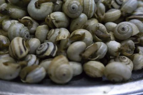 Dish of boiled snails with garlic Stock Photos