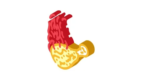 Dish chicken fried isometric icon animation Stock Footage 327283858
