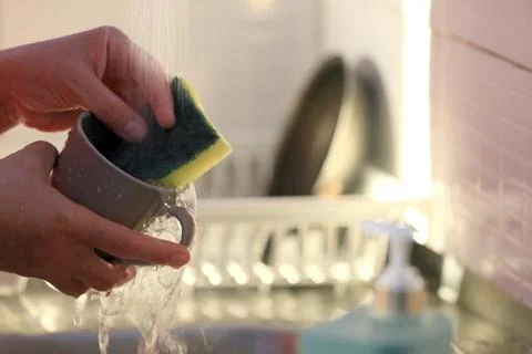 Dish cleaning sponge Stock Photos