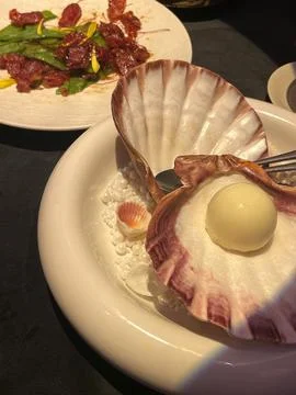 Dish featuring scallop shells with edible pearl and gourmet salad in fine d.. Stock Photos