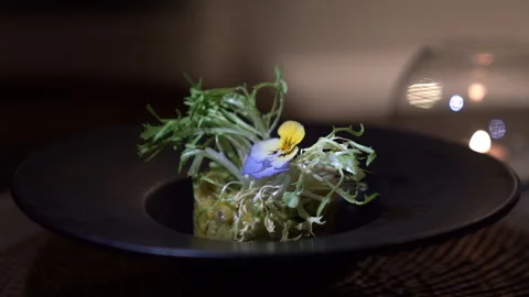 Dish with a flower in a black plate Stock Footage 281251821