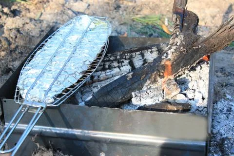 Dish from fried fish cooked on fire Stock Photos