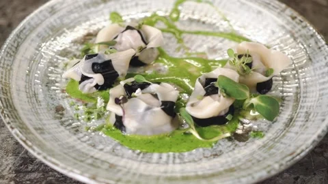 Dish with herbs and sauce. Stock Footage 147110645