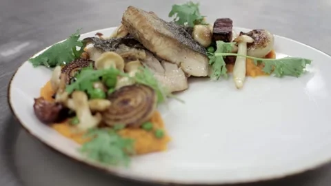 Dish with meat and mushrooms Stock-Footage 307340073