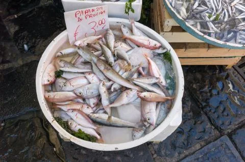 Dish of paranza Foto stock