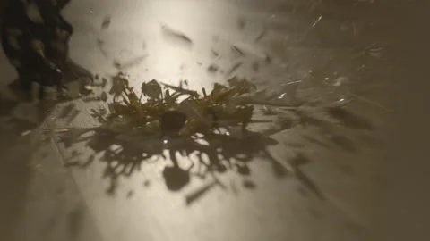 Dish of pasta fall to the floor and broken. The plate of pasta falls to the Stock Footage 136597996