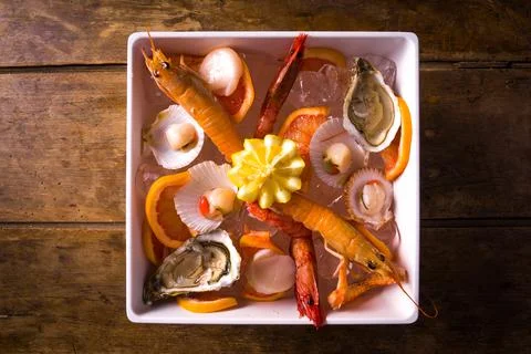 Dish with raw seafood Stock Photos