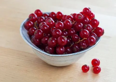 Dish of redcurrants Stock Photos