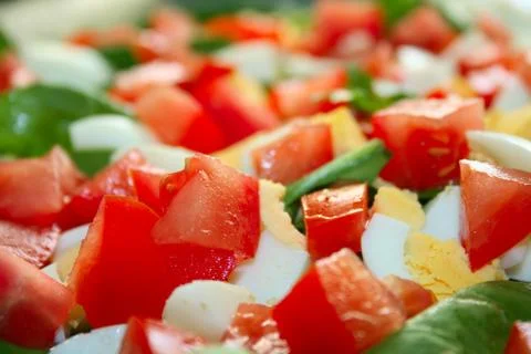 Dish salad Stock Photos