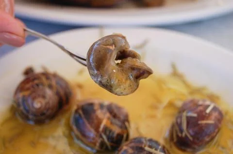 A dish of snails Stock Photos