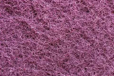 Dishcloth Foto stock