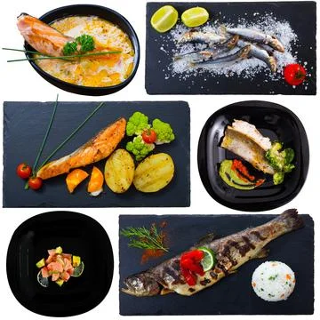 Dishes with different fish at plates isolated on white background Stock Photos
