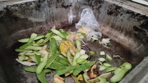A dishwasher full of fruit waste Video stock 196985147