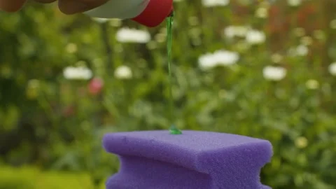 Dishwashing liquid dripping onto a sponge Stock Footage 137622697