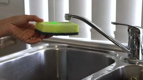 Dishwashing on a sponge Stock Footage 136338905