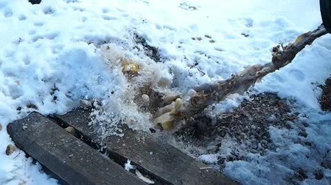 Dishwater Stock-Footage 22424626