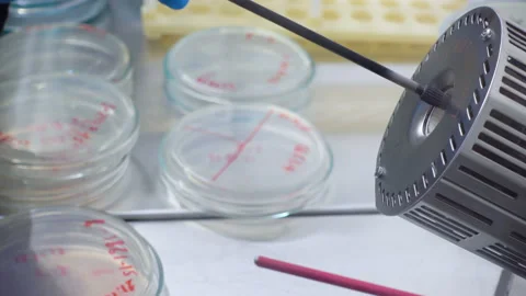 Disinfection of the microbiological loop Stock Footage 100182934