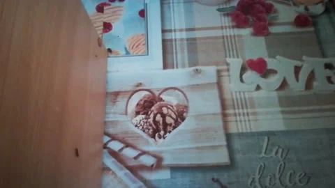 Disinsection of cockroaches Stock Footage 136293148