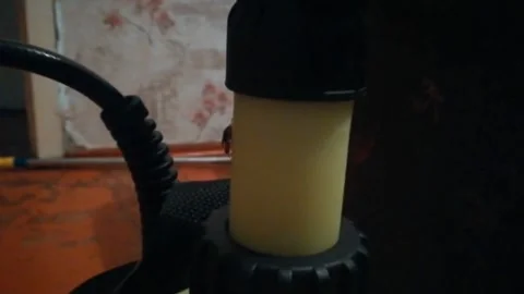 Disinsection of cockroaches Stock Footage 136293297