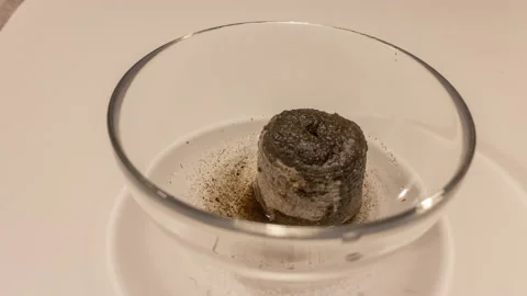 Disk for growing plants Stock Footage 197007049