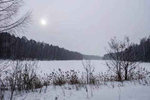 A disk of low winter sun over the forest on a cloudy day. Stock Photos