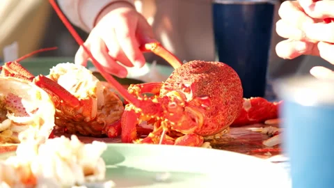 Dismembering and eating Cape Rock Lobster or Crayfish seafood delicacy by hand Stock Footage 327293089