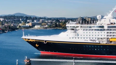 Disney Wonder Stock Footage 119125655