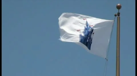 Disney World Flag Stockbeeldmateriaal 11606944