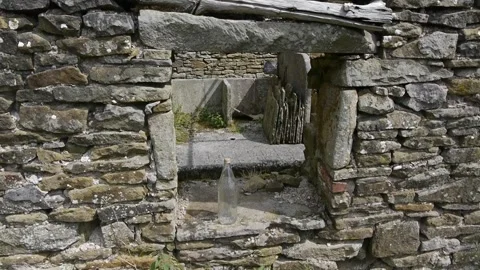 Disorder Stock Footage 313529376