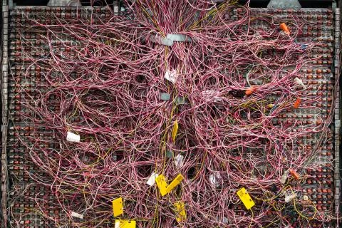 Disordered cable in private automatic branch exchange cabinet Stock Photos