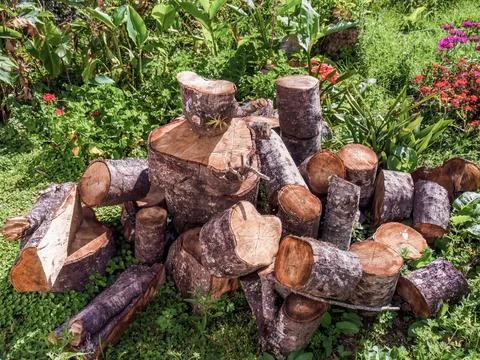 A disordered heap of chainsawed tree trunks of an old alder, in a garden some Foto stock