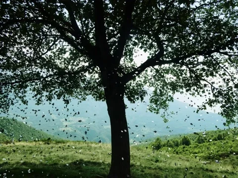 Dispersion effect, digital tree, tree with falling leaves Stock Footage 144988158