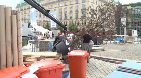Displacement of a tree with a lifting crane Stock Footage 59893790