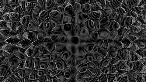 Displase_wall Stock Footage 79212026